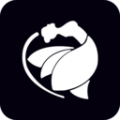 我们高清在线看免费观看