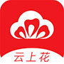 云上花直播最新版