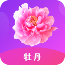 牡丹直播下载