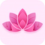 桃花后宫影视