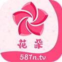 花朵直播