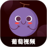 小葡萄视频