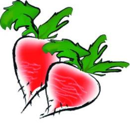 花季传媒污视频
