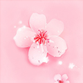 桃花视频高清观看播放app免费版