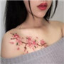 芭蕉视频app最新ios下载