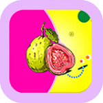 芭乐视频下载污版app安装