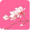 花瓣直播最新版