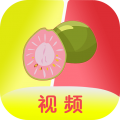 芭乐