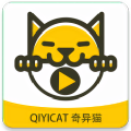 奇异猫