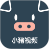 小猪视频免费版