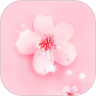 桃花直播观看