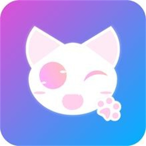 2021小奶猫永久免掉回家