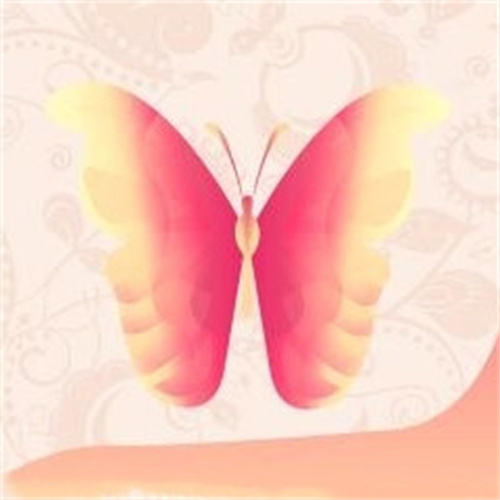 蝶舞直播免费版