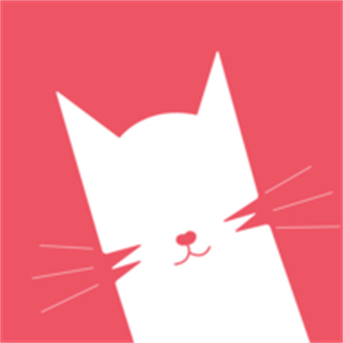 猫咪宝盒