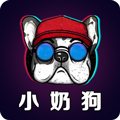 小奶狗福引导