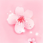 樱花草视频www