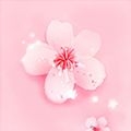 野花社区视频大全高清免费4