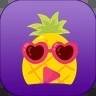 菠萝蜜app汅api免费新版