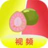 芭乐直播