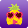 大菠萝福建导航app
