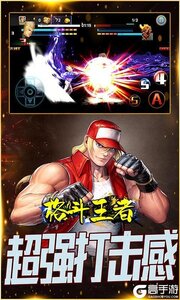 格斗王者游戏截图-3