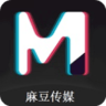 麻豆文化传媒网站地址