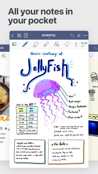 goodnotes5app v5.9.12 苹果版 2