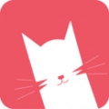 猫咪视频观看高清版