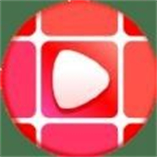 白果视频安卓版