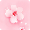 桃花直播观看