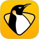 企鹅直播app
