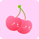 菊花直播