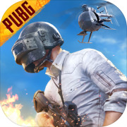 和平精英(国际服)最新版BETA PUBG MOBILE