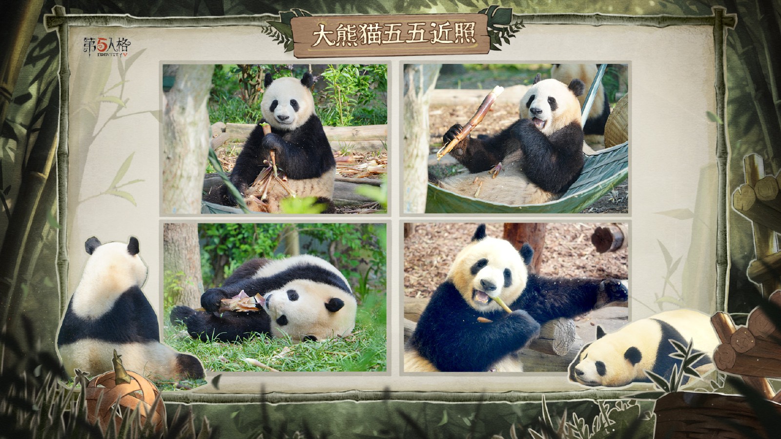 《第五人格》熊猫系列时装今日上架及一次性返场 《第五人格》熊猫系列时装今日上架及一次性返场