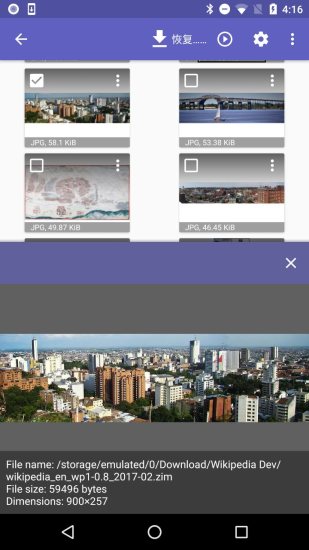 DiskDigger(照片恢复软件) V1.0-2024-07-1.0-2025-07-26 安卓版截图4