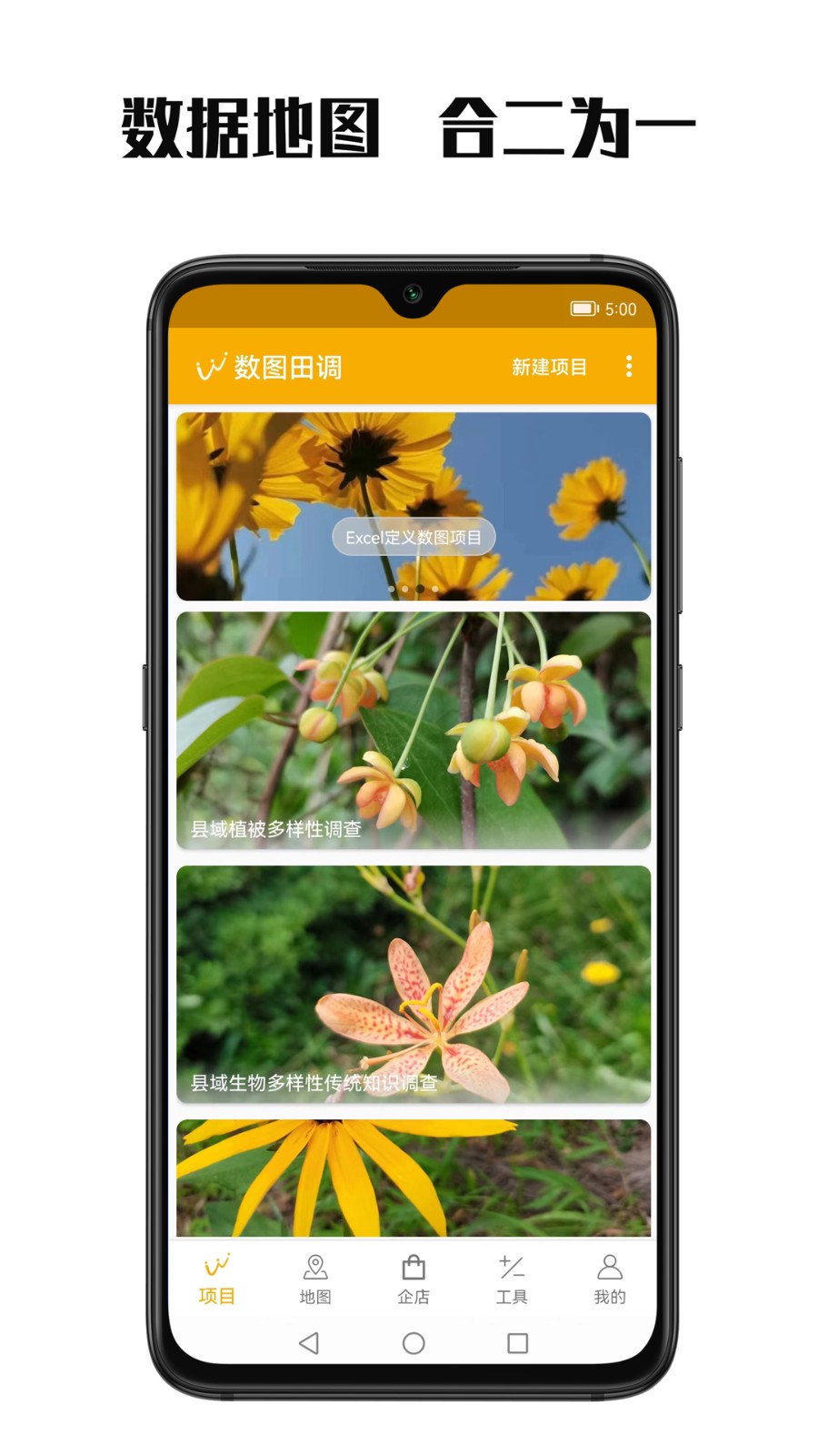 数图 V3.3.16 安卓版截图5