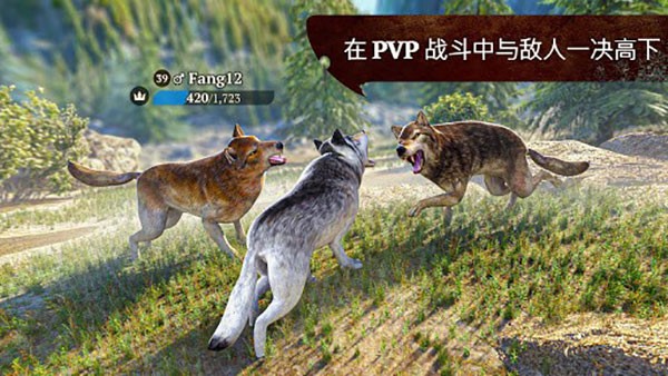 狼族正版 V4.1.0 安卓版截图3