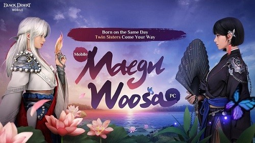 黑色沙漠国际版 V4.10.84 安卓版截图1