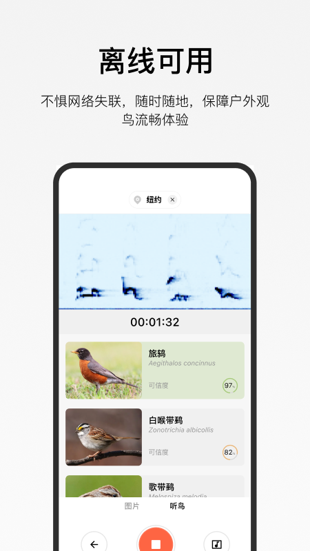 懂鸟识别APP V1.1.7 安卓版截图2