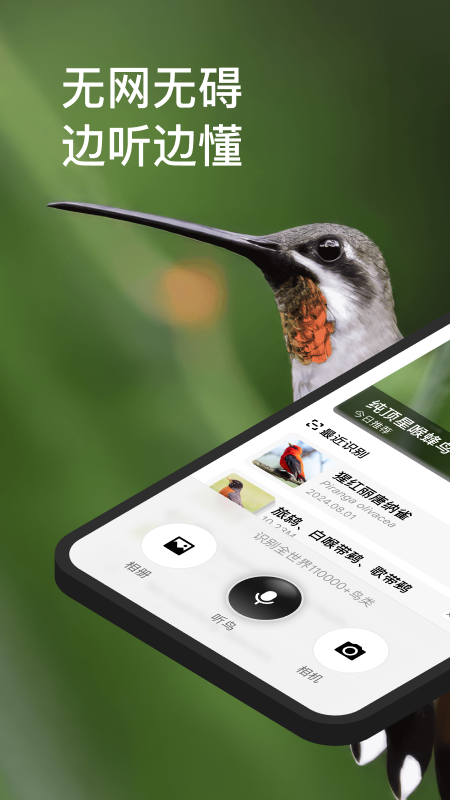 懂鸟识别APP V1.1.7 安卓版截图4