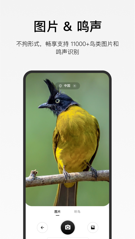 懂鸟识别APP V1.1.7 安卓版截图3