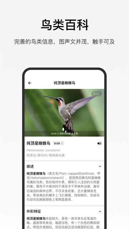 懂鸟识别APP V1.1.7 安卓版截图1