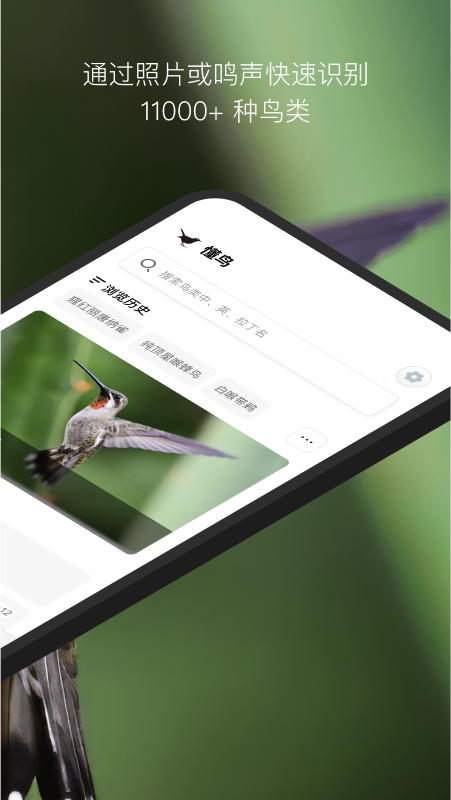 懂鸟识别APP V1.1.7 安卓版截图5