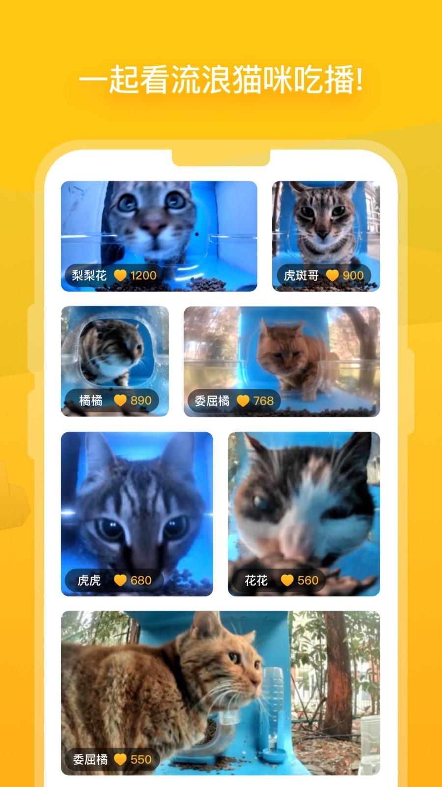 哈啰街猫 V3.0.1 安卓版截图4