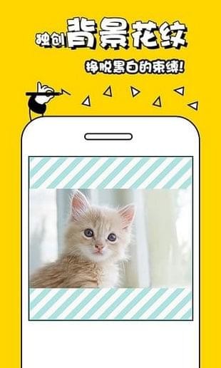 太抖短视频截图