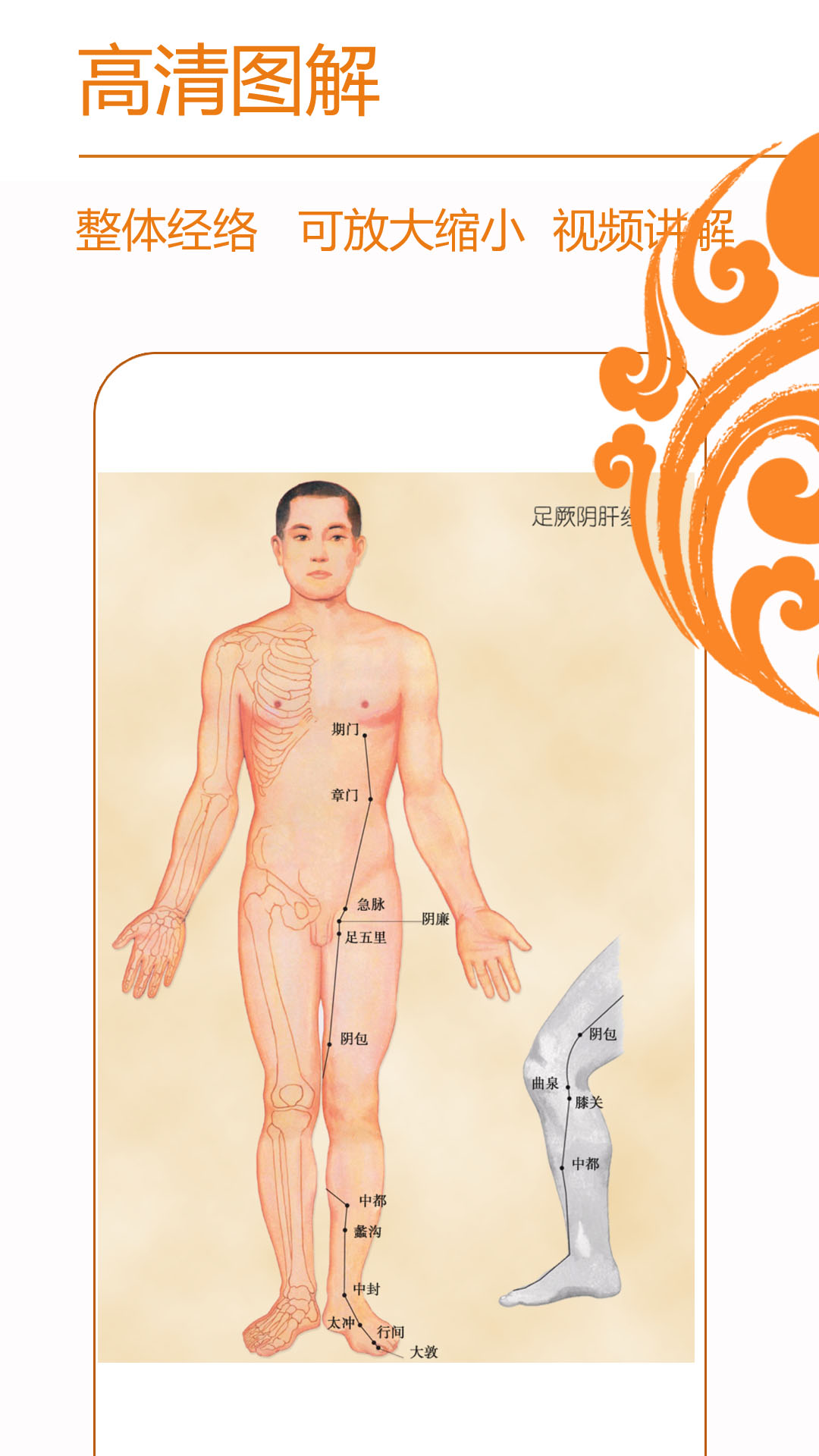 经络养生 V3.9.8 安卓版截图1