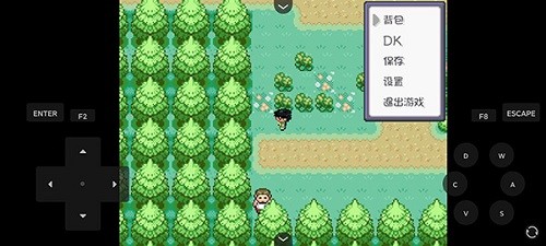 口袋妖怪燃之智 V1.0 安卓版截图4