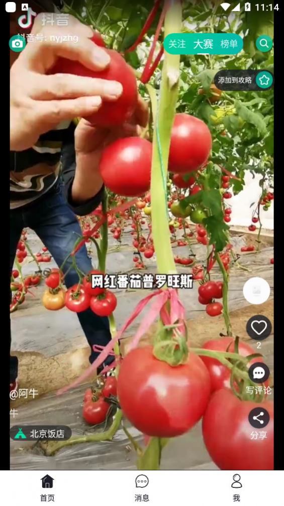 彼方短视频截图