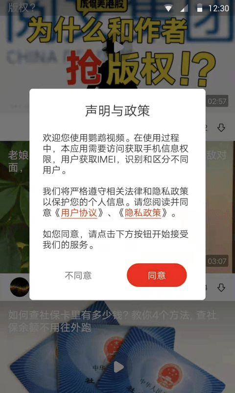 鹦鹉视频截图
