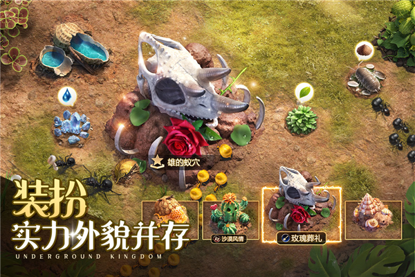 小小蚁国快手版 V3.0.60 安卓版截图5